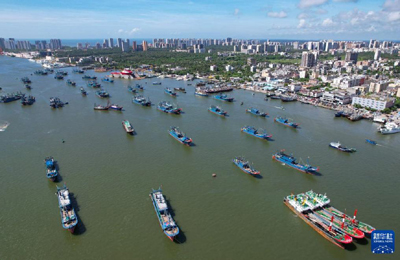   南海開漁魚滿倉
